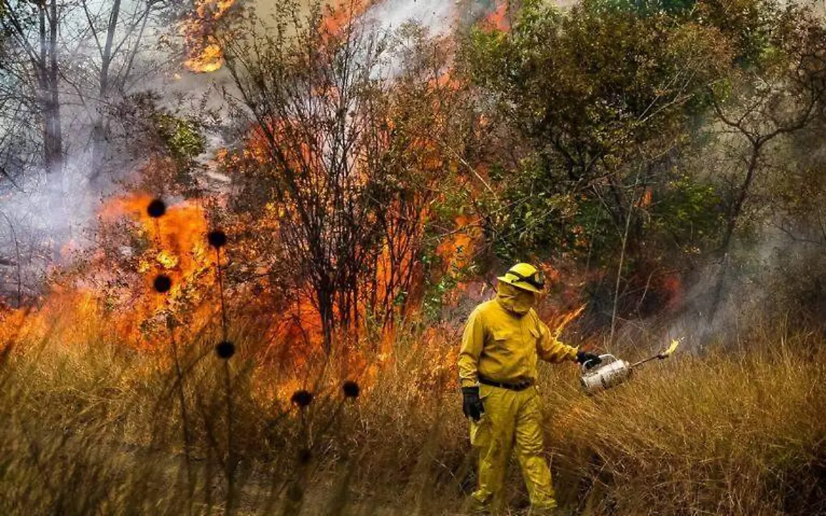 Brigada contra incendios